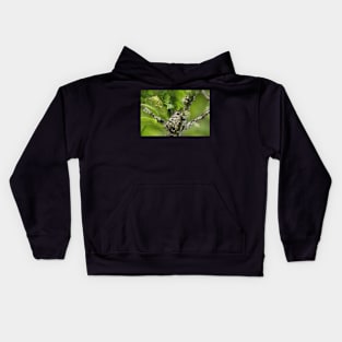 Hummingbird on nest Kids Hoodie